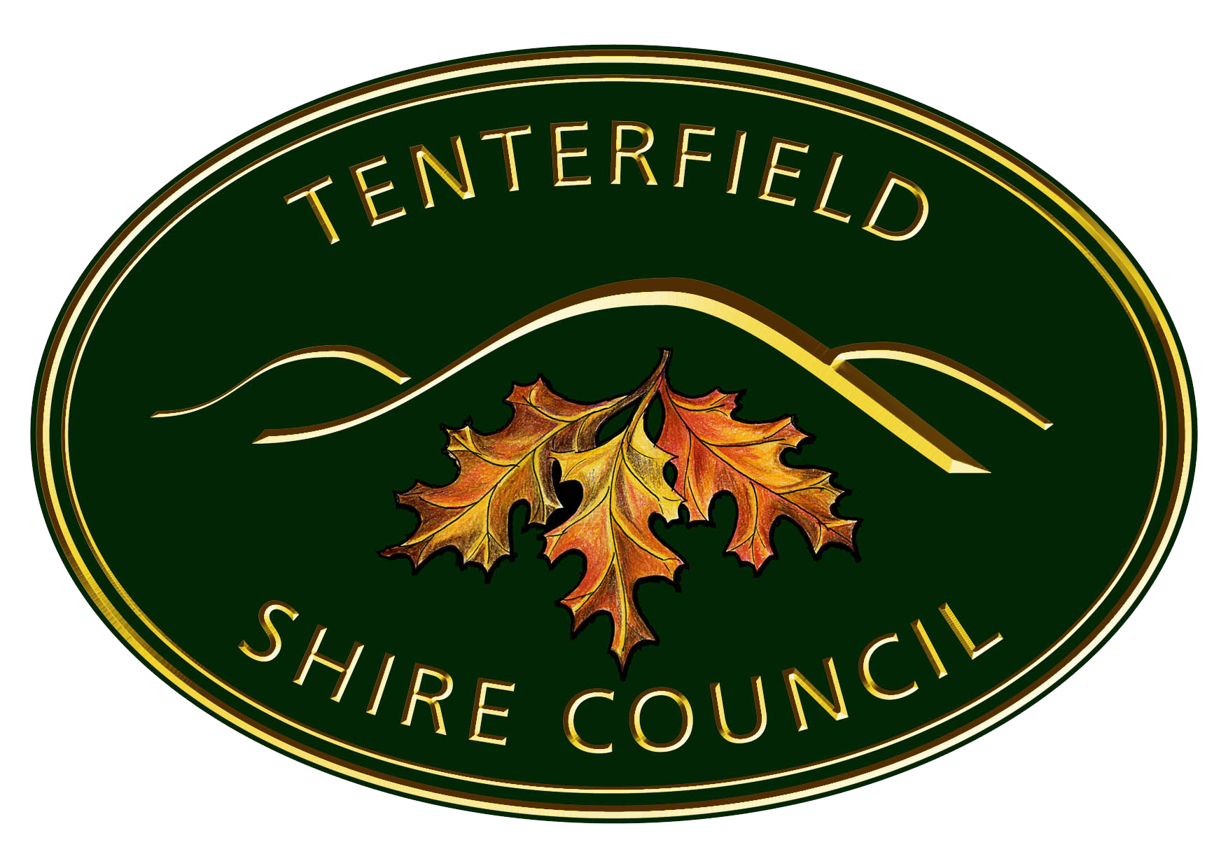 Tenterfield-Shire-Logo-Colour-no-background