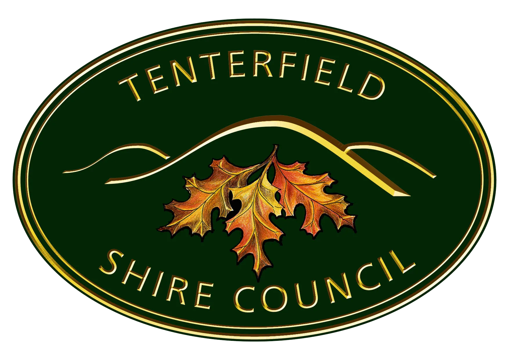 Tenterfield-Shire-Logo-Colour-no-background